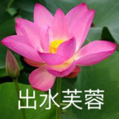7k7k极战联盟手机版